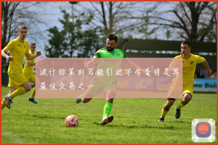 波什称莱利若能引进字母哥将是其最佳交易之一